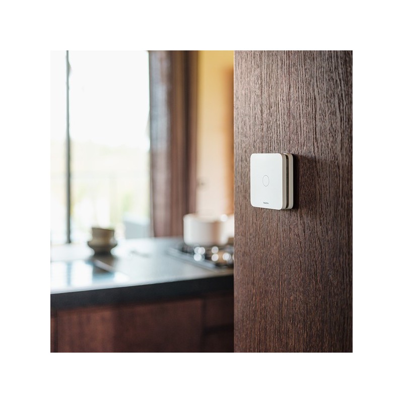 Netatmo Smart Carbon Monoxide Detector Kabellos Oberflächenmontiert Elektrochemischer Detektor