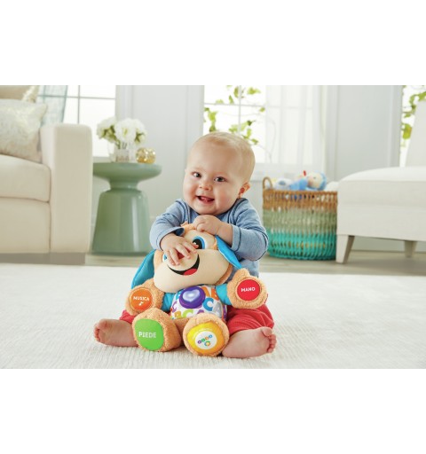 Fisher-Price FPM51 Lernspielzeug