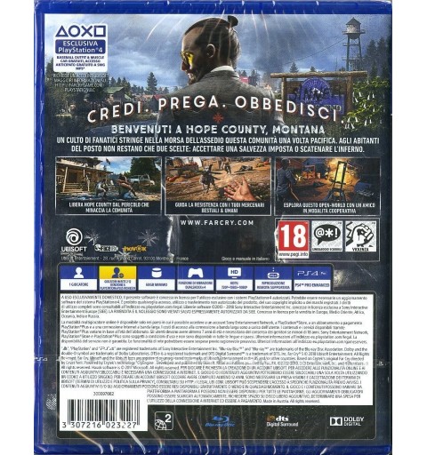 Ubisoft Far Cry 5, PS4 Standard Multilingue PlayStation 4