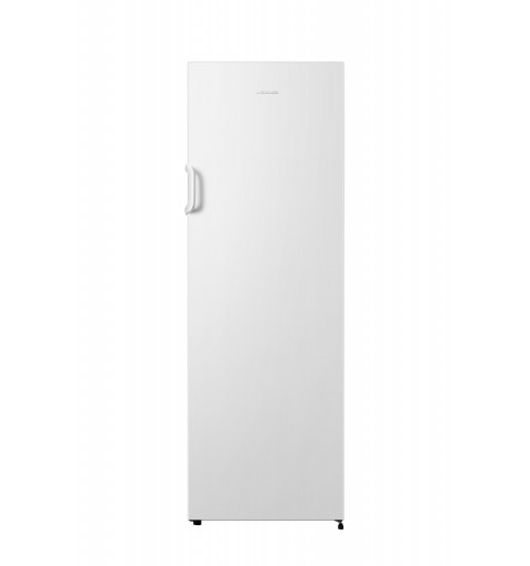 Hisense FV245N4AW2 Tiefkühltruhe Freistehend 194 l E Weiß