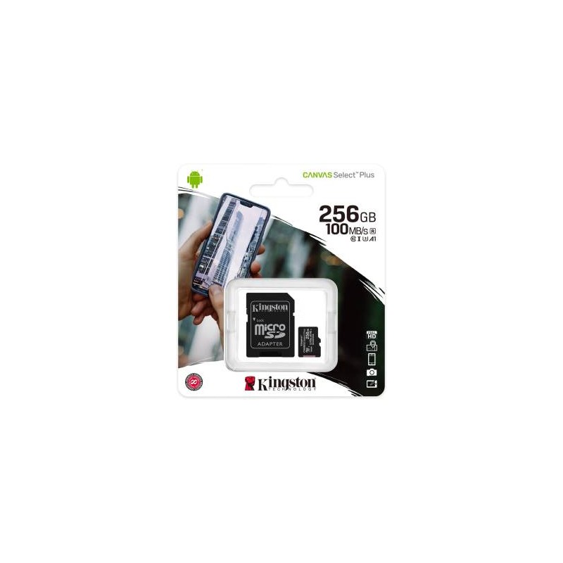 Kingston Micro SD 256GB Classe 10 SDCS2/256GB + Adattatore SD