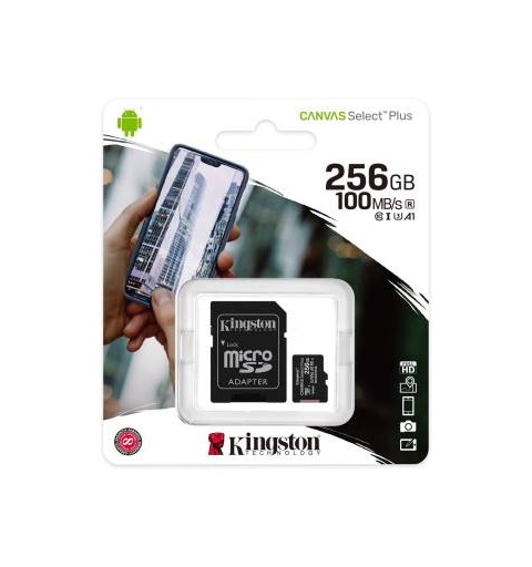 Kingston Micro SD 256GB Classe 10 SDCS2/256GB + Adattatore SD