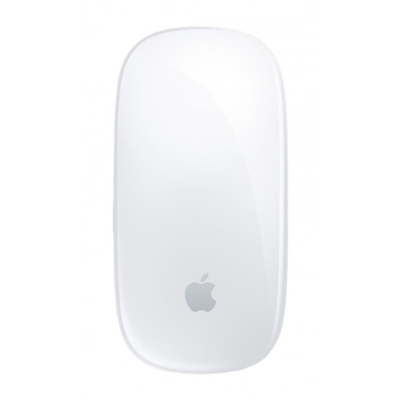 Apple Magic mouse Ambidextrous Bluetooth