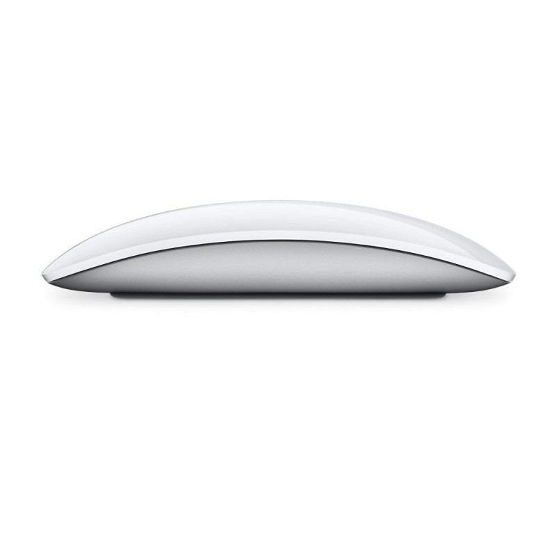 Apple Magic mouse Ambidextrous Bluetooth