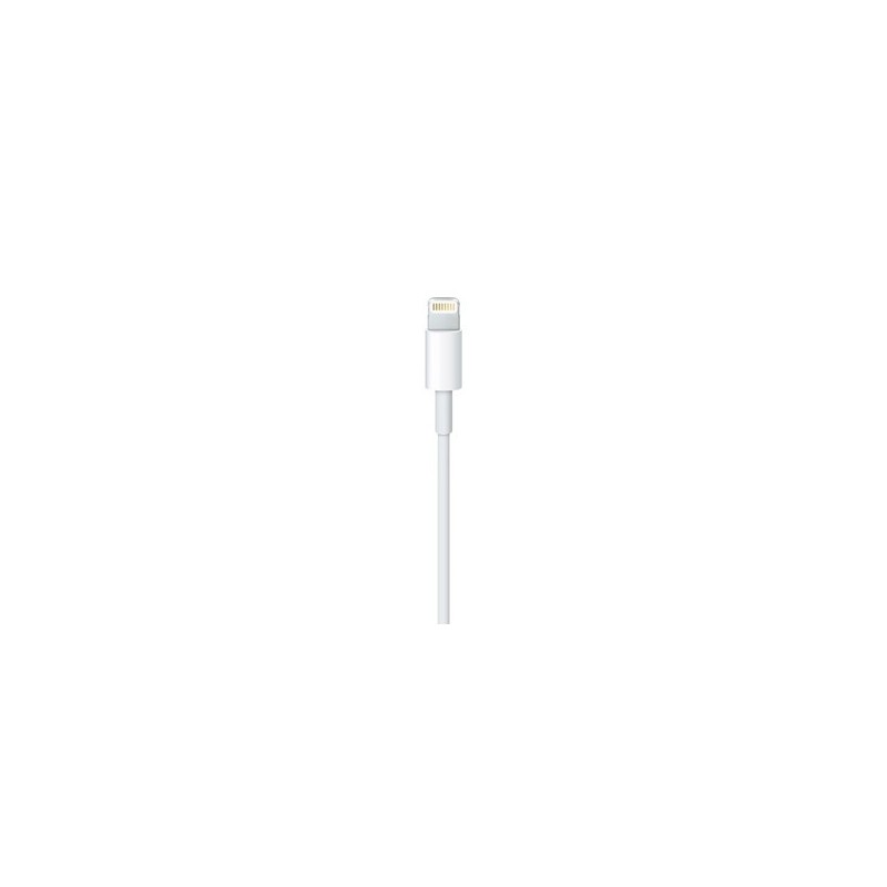 Apple Lightning to USB Cable (0.5 m)