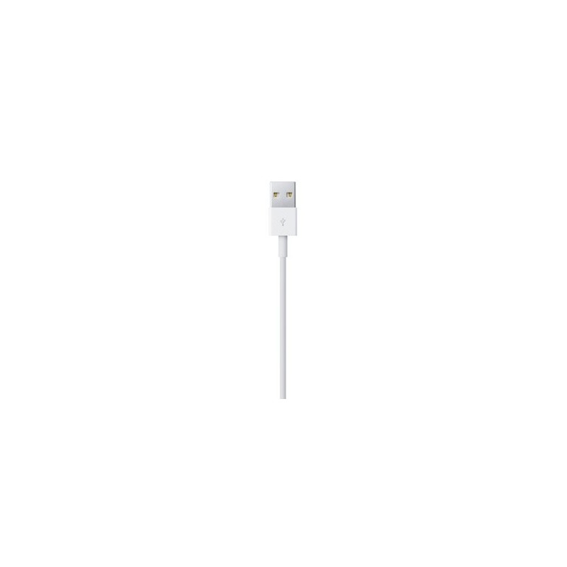 Apple Lightning to USB Cable (0.5 m)