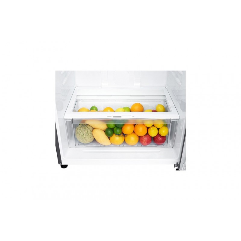 LG GTF744PZPZD fridge-freezer Freestanding 509 L E Stainless steel