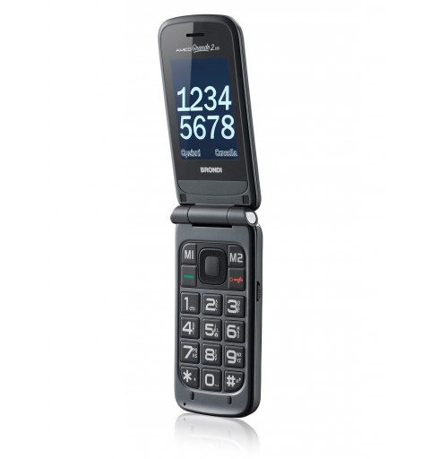 Brondi Amico Grande 2 LCD 6,1 cm (2.4") Titane Téléphone numérique