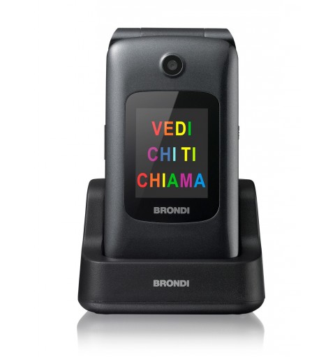 Brondi Amico Grande 2 LCD 6.1 cm (2.4") Titanium Feature phone