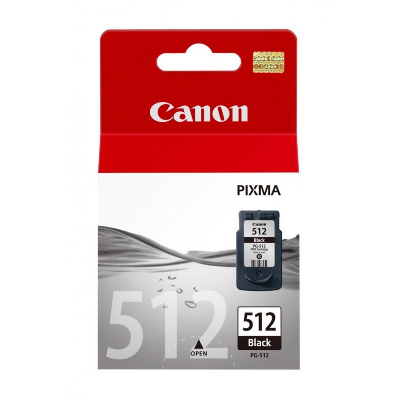 Canon PG-512 cartuccia d'inchiostro 1 pz Originale Nero