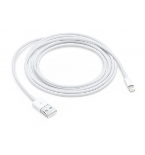 Apple Lightning to USB Cable (2 m)