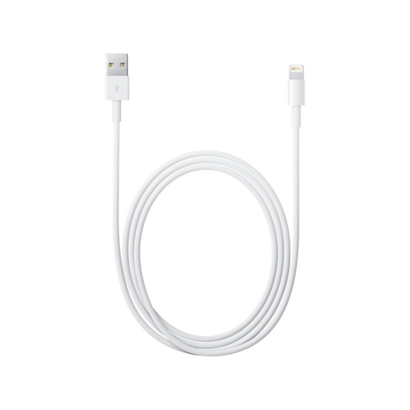 Apple Lightning to USB Cable (2 m)