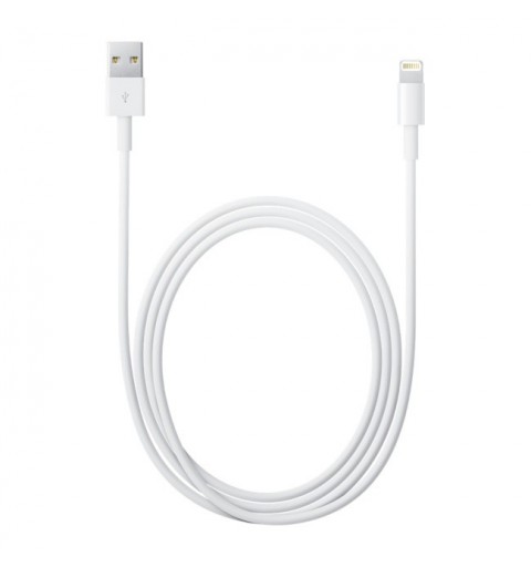 Apple Lightning to USB Cable (2 m)