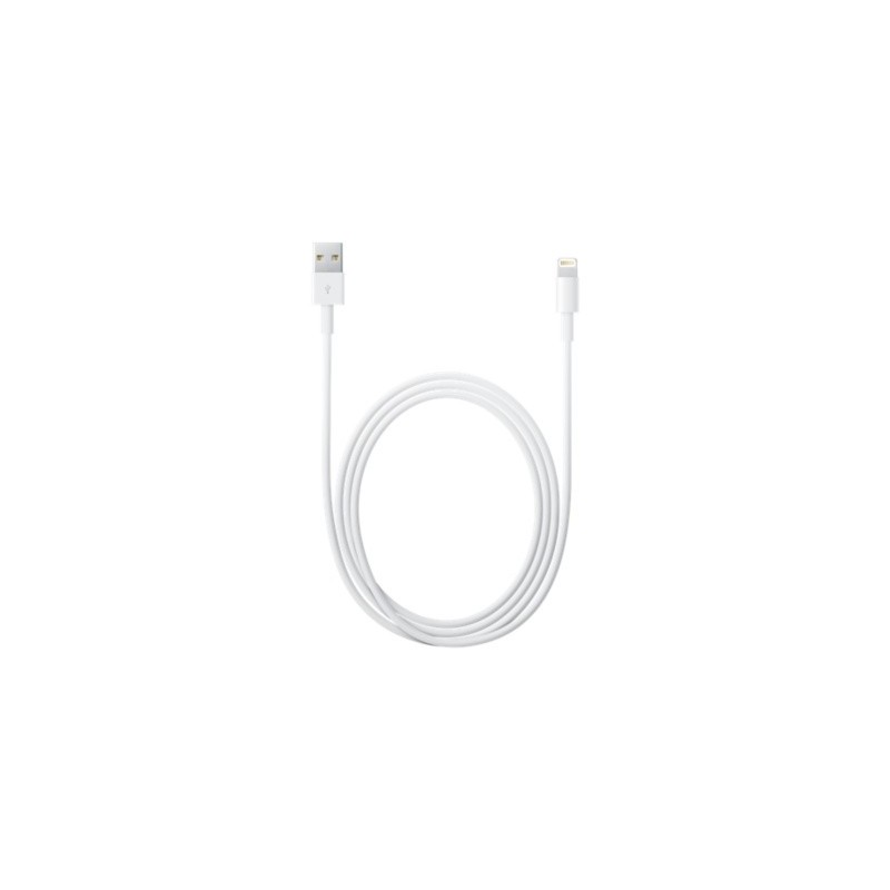 Apple Lightning to USB Cable (2 m)