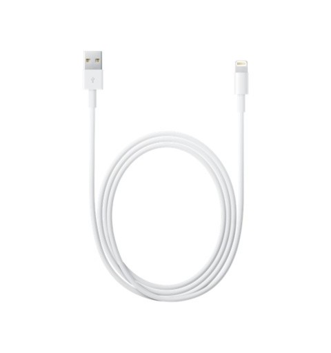 Apple Lightning to USB Cable (2 m)