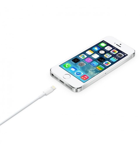 Apple Lightning to USB Cable (2 m)