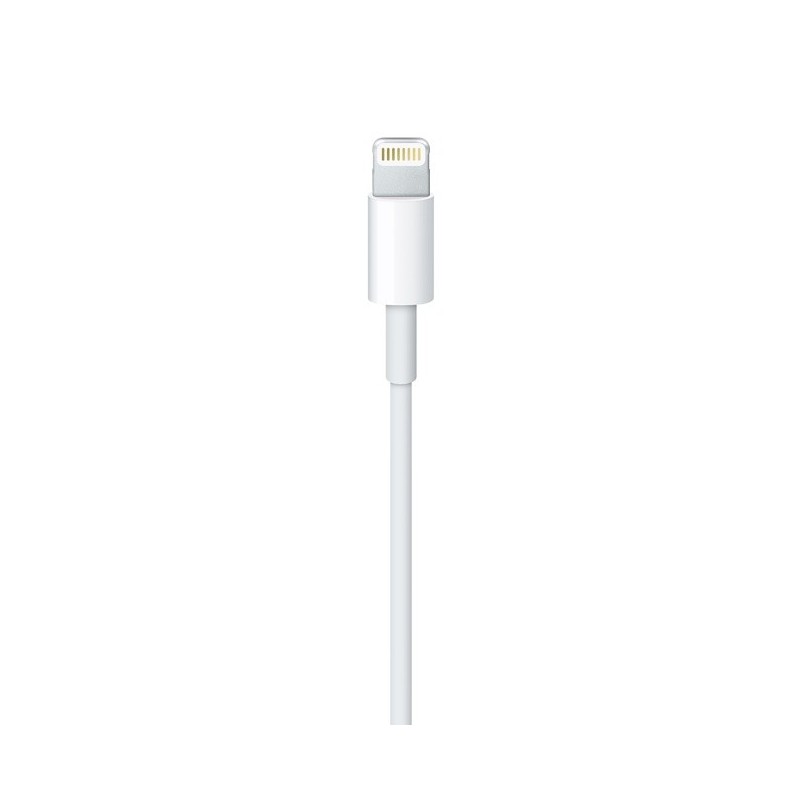 Apple Lightning to USB Cable (2 m)