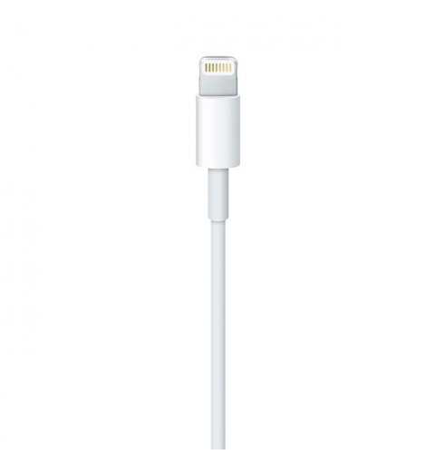 Apple Lightning to USB Cable (2 m)