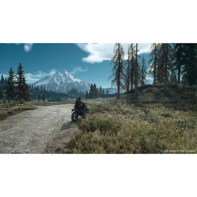 Sony Days Gone, Playstation 4 Estándar Inglés, Italiano