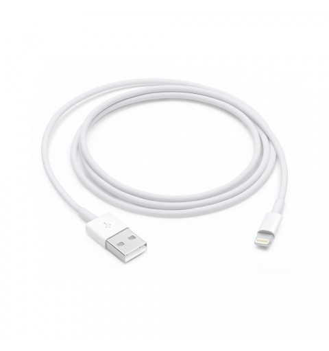 Apple Lightning to USB Cable (1В m)