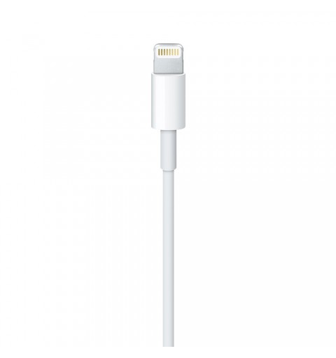 Apple Lightning to USB Cable (1В m)