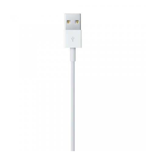 Apple Lightning to USB Cable (1В m)