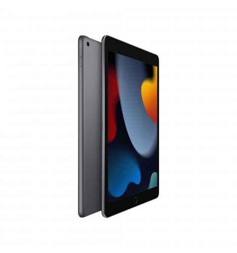 Apple iPad 64 Go 25,9 cm (10.2") 3 Go Wi-Fi 5 (802.11ac) iPadOS 15 Gris