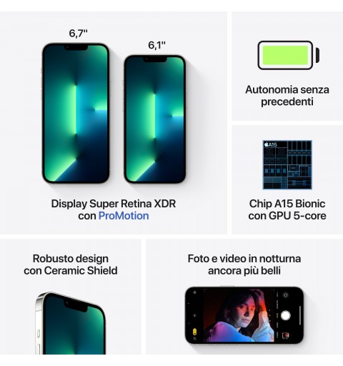 Apple iPhone 13 Pro 15,5 cm (6.1") Double SIM iOS 15 5G 1000 Go Argent