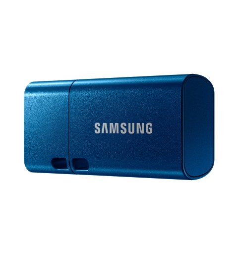 Samsung MUF-128DA lecteur USB flash 128 Go USB Type-C 3.2 Gen 1 (3.1 Gen 1) Bleu