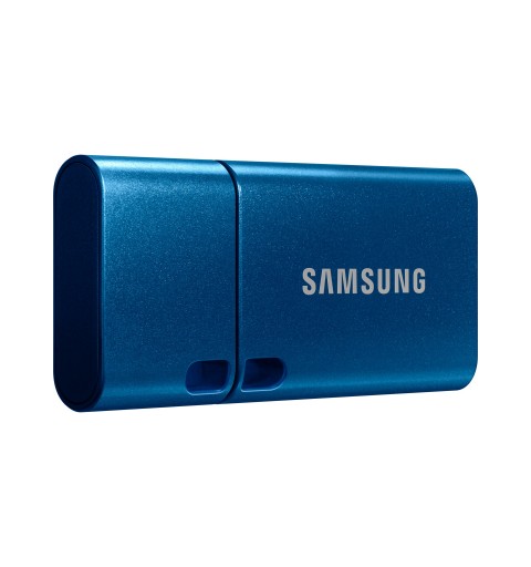 Samsung MUF-128DA lecteur USB flash 128 Go USB Type-C 3.2 Gen 1 (3.1 Gen 1) Bleu