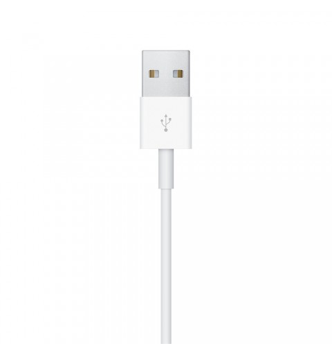 Apple MX2E2ZM A accessoire intelligent à porter sur soi Câble de chargement Blanc