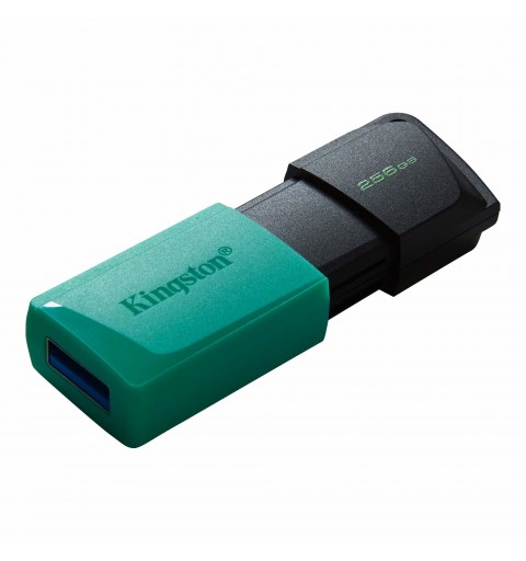 Kingston Technology DataTraveler Exodia M lecteur USB flash 256 Go USB Type-A 3.2 Gen 1 (3.1 Gen 1) Noir, Turquoise