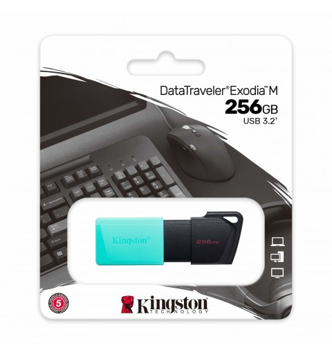 Kingston Technology DataTraveler Exodia M lecteur USB flash 256 Go USB Type-A 3.2 Gen 1 (3.1 Gen 1) Noir, Turquoise