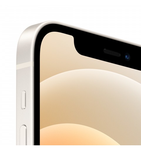 Apple iPhone 12 15.5 cm (6.1") Dual SIM iOS 14 5G 64 GB White