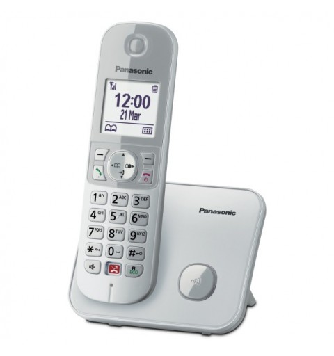 Panasonic KX-TG6851JTS Telefon DECT-Telefon Anrufer-Identifikation Silber