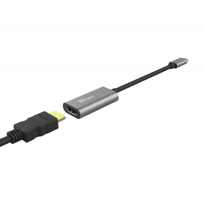 Trust Dalyx Adaptador gráfico USB Gris