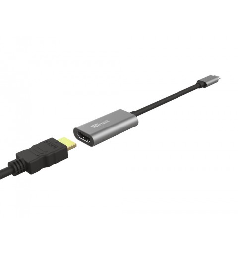 Trust Dalyx Adaptador gráfico USB Gris