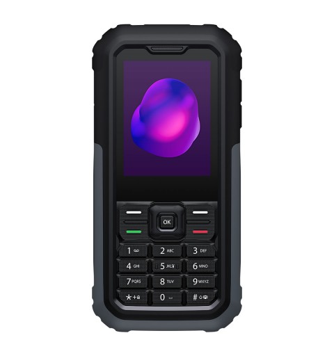 TCL 3189 6,1 cm (2.4 Zoll) Schwarz, Grau Kamera-Handy