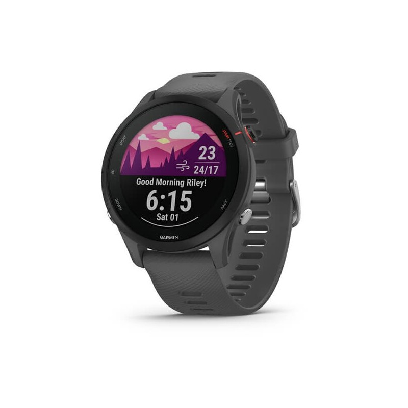 Garmin Forerunner 255 3,3 cm (1.3 Zoll) MIP 46 mm Grau GPS