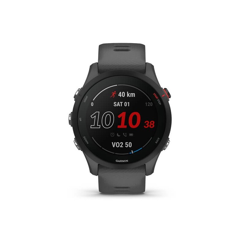 Garmin Forerunner 255 3,3 cm (1.3 Zoll) MIP 46 mm Grau GPS