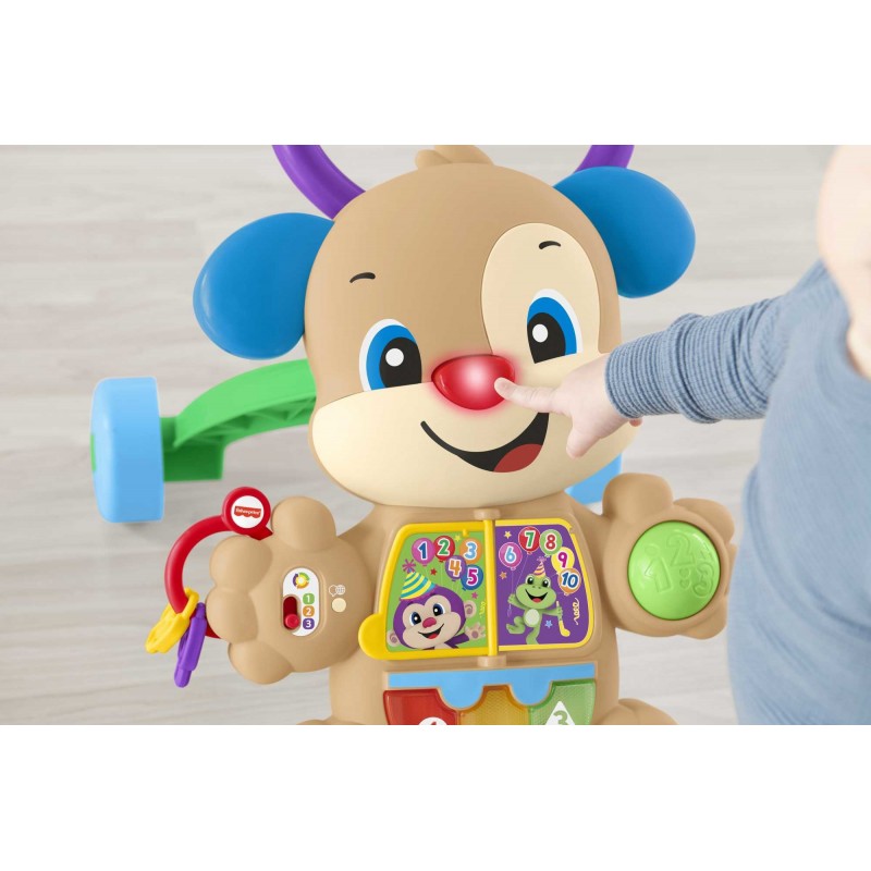 Fisher-Price HHX15 Schiebe- & Ziehspielzeug