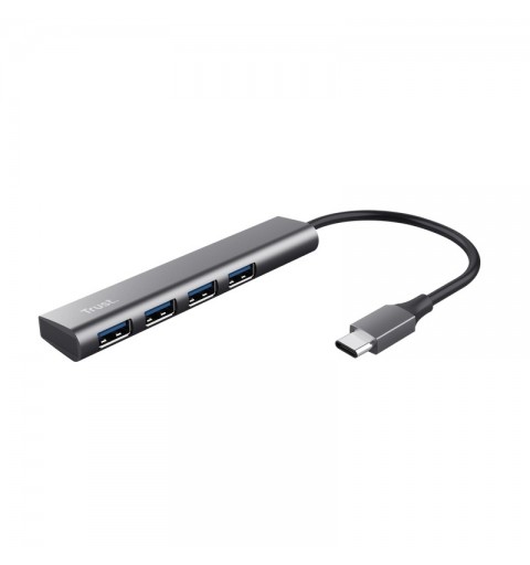 Trust Halyx USB 3.2 Gen 1 (3.1 Gen 1) Type-A 5 Mbit s Grey