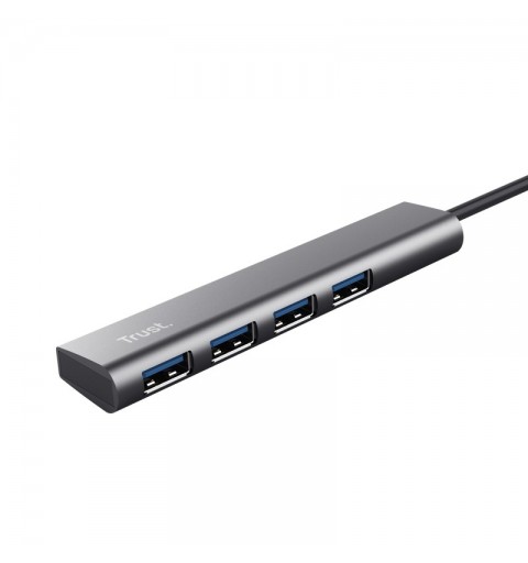 Trust Halyx USB 3.2 Gen 1 (3.1 Gen 1) Type-A 5 Mbit s Grey