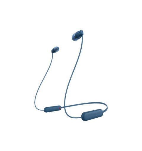 Sony WI-C100 Auricolare Wireless In-ear Musica e Chiamate Bluetooth Blu