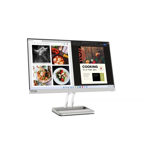 Lenovo L24i-40 computer monitor 60.5 cm (23.8") 1920 x 1080 pixels Full HD LCD Grey