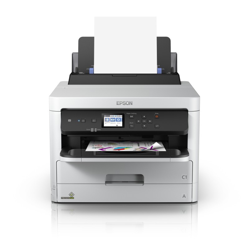 Epson DURABrite Pro