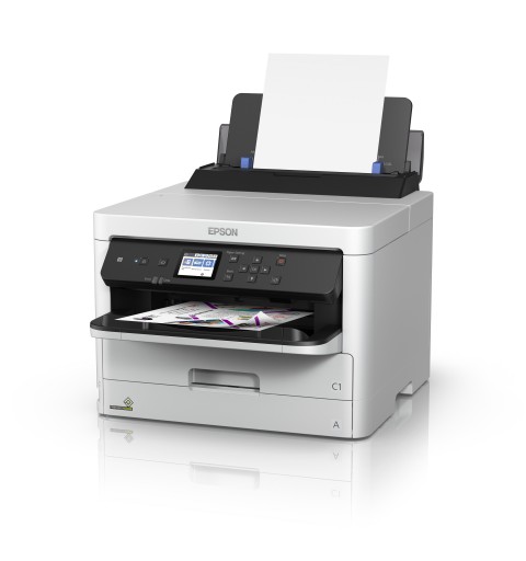 Epson DURABrite Pro