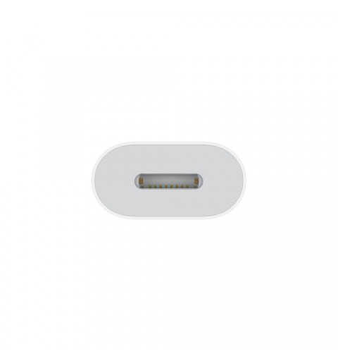 Apple MUQX3ZM A cambiador de género para cable USB Type-C Lightning Blanco
