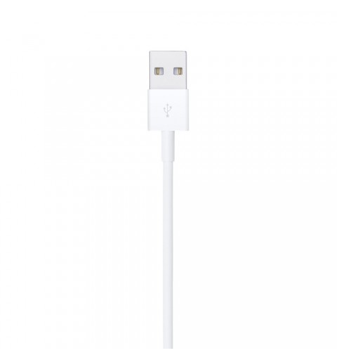 Apple Lightning auf USB Kabel (1 m)