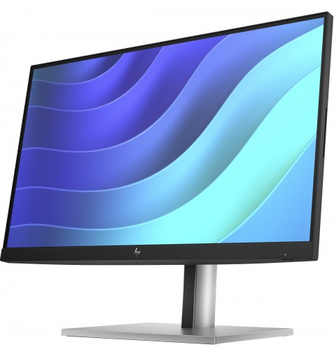 HP E-Series E22 G5 FHD Monitor